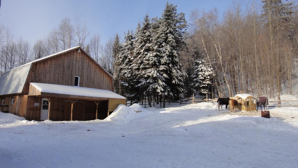 Auberge Le Cheval Bleu Saint-Alphonse-Rodriguez Bagian luar foto