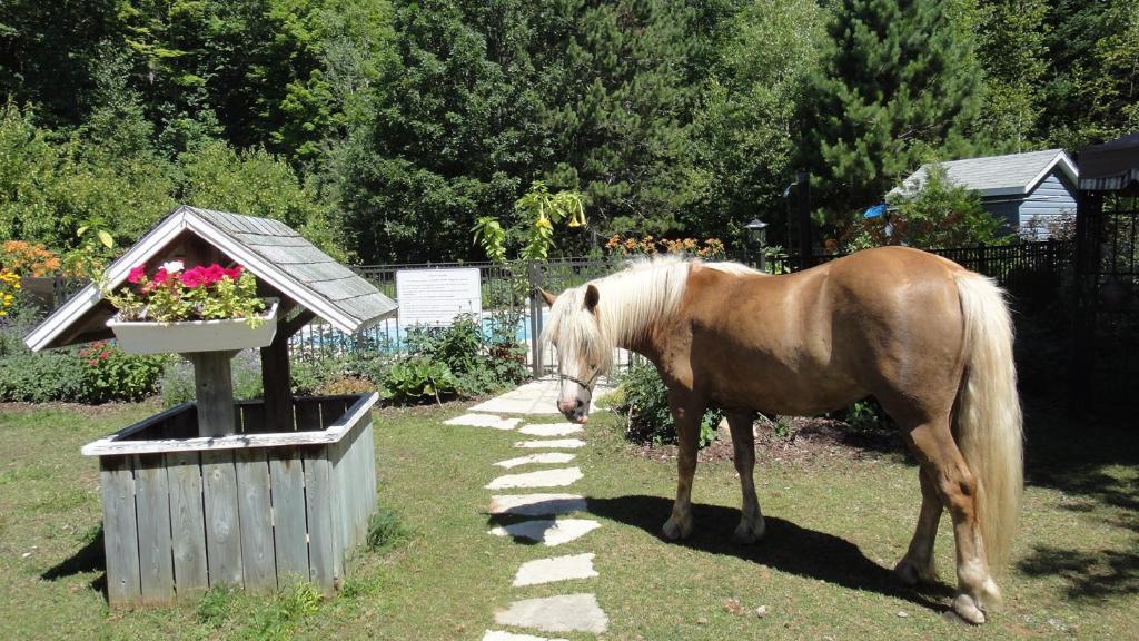 Auberge Le Cheval Bleu Saint-Alphonse-Rodriguez Bagian luar foto